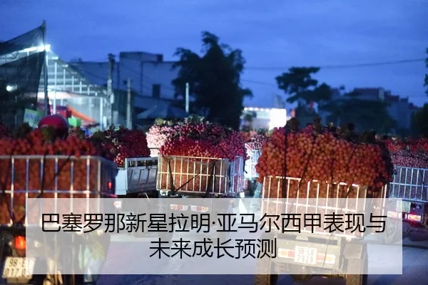 巴塞罗那新星拉明·亚马尔西甲表现与未来成长预测